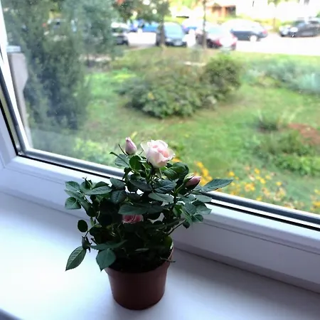 Jaukus Koko Butas 1 Aukste 公寓 *