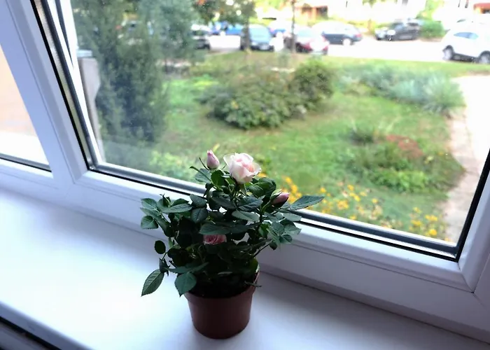 Jaukus Koko Butas 1 Aukste Apartamento *