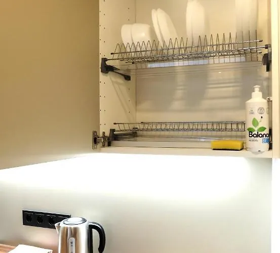 Jaukus Koko Butas 1 Aukste Kaunas